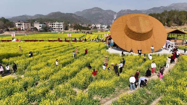 新闻观察丨几个村“抱”在一起，怎么就抱进了国家规划？