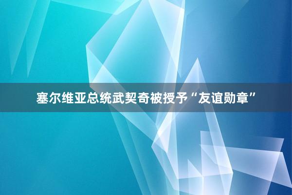 塞尔维亚总统武契奇被授予“友谊勋章”