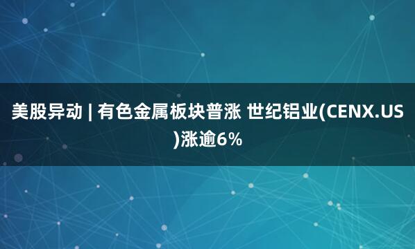 美股异动 | 有色金属板块普涨 世纪铝业(CENX.US)涨逾6%