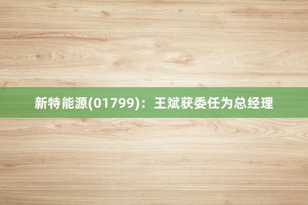 新特能源(01799)：王斌获委任为总经理