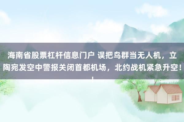 海南省股票杠杆信息门户 误把鸟群当无人机，立陶宛发空中警报关闭首都机场，北约战机紧急升空！